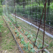 Garden plant plastic trellis fencing mesh/support net